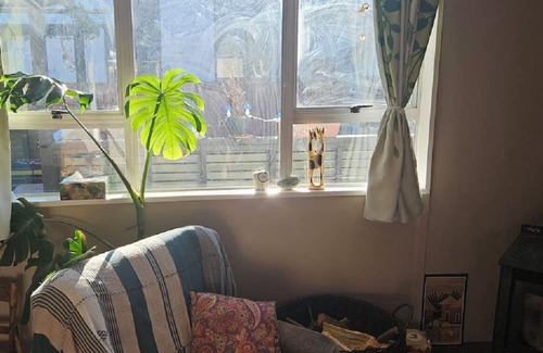 Clyde House | Cute, Colourful little house/cottage in Clyde
