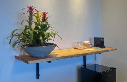 Espirito Santo Do Pinhal Hotel | Vinícola e Hospedaria Bonventi Ltda