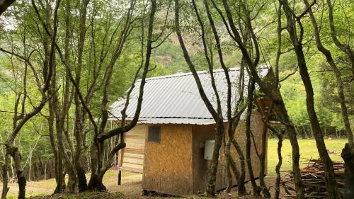 Sakës Cabin | Baca