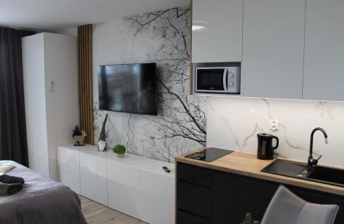 Stary Smokovec Apartment | Hellene Snow 101