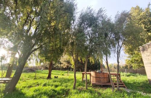 Cabrero House | Quinta Los Cipreses