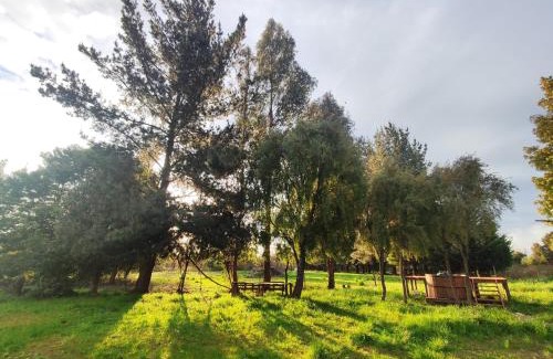Cabrero House | Quinta Los Cipreses