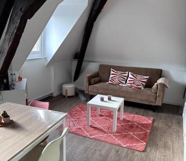 Auxerre Apartment | Le Saint Eusèbe