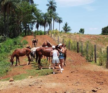 Casa Branca House | Fazenda Cachoeira