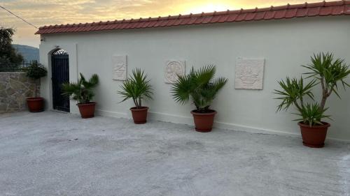 Bar Villa | Villa Sunny Hill