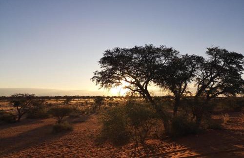 Hoachanas Other | Kalahari Auob Camp