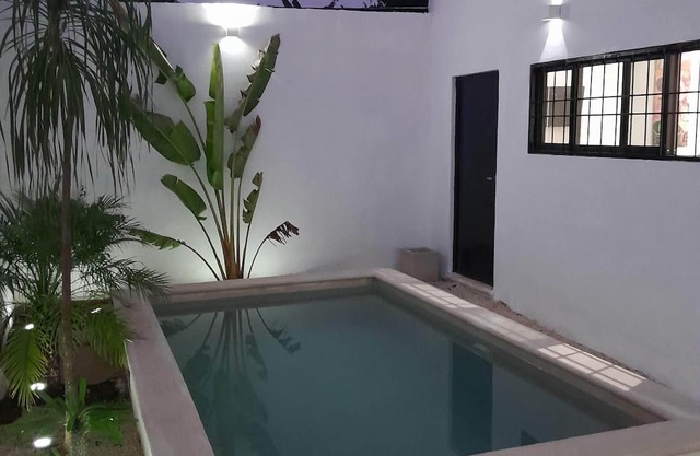 Contemporary Home & Tiny Home w/pool. 15-minute walk to Merida, Centro