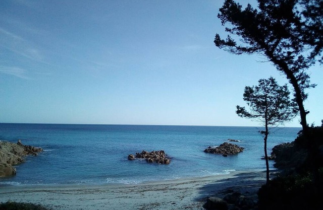 Two Kitchens and Toilets, big Terrace With hot Shower ONE Minute From THE Beach
