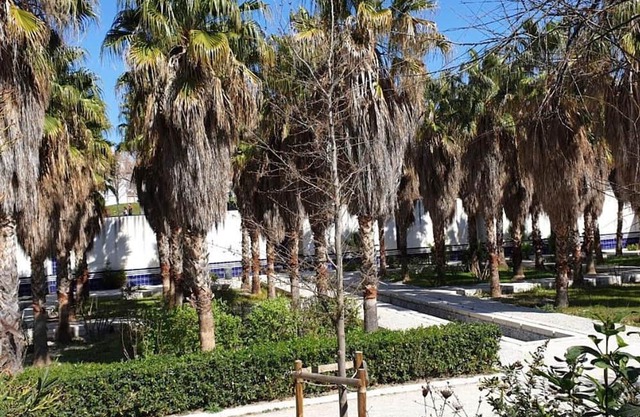 Apartment Marseille-10th arrondissement, 2 bedrooms, 4 persons