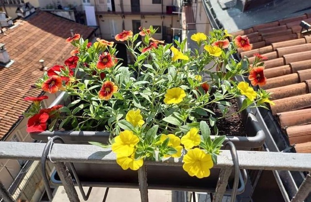 Centrally located in the heart of Turin's Roman Old City