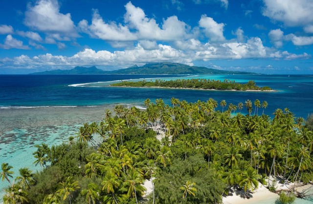 RAIATEA - Fare Apetahi