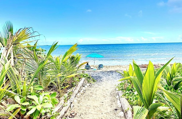 Stay Local at Your Beachfront Casa in Paradise