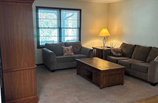 3-bedroom house near Crane Creek Vineyards in Young Harris