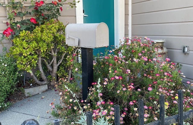 Charming 2-bedroom apartment with WiFi in Alameda