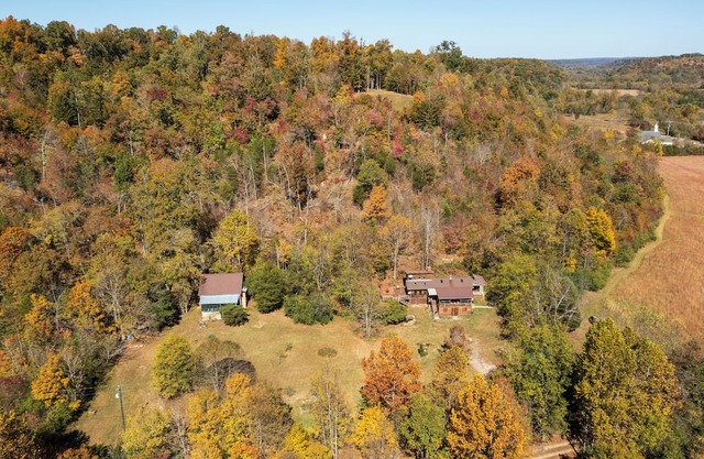 Charming, private, 1952 log cabin in the country 4 miles from Fairview.