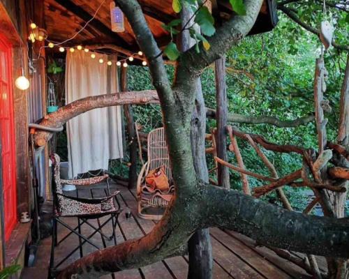 Forest TreeHouse