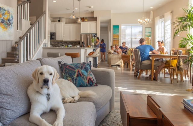 Finding and Planning Pet-Friendly Vacation Rentals