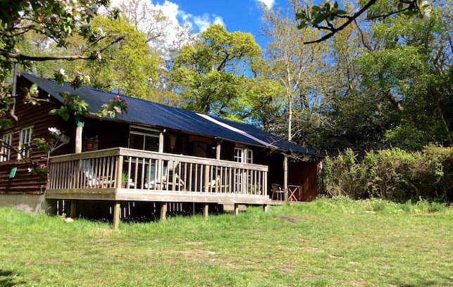 New Forest District Other | Plywood Palace. Wooden cabin in private woods.