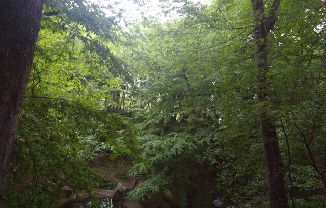 Bolu Apartment | The heart of the nature Bolu
