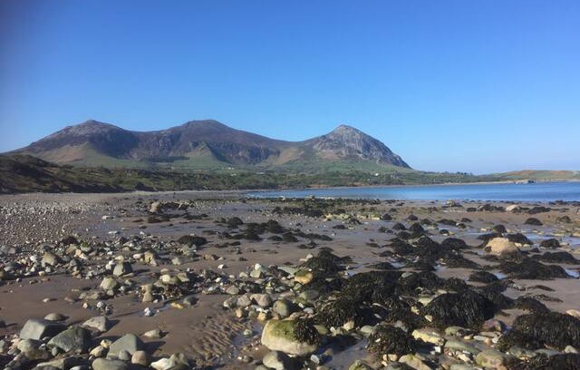 Dinas Cabin | Dyserth Cottage, Aberdesach