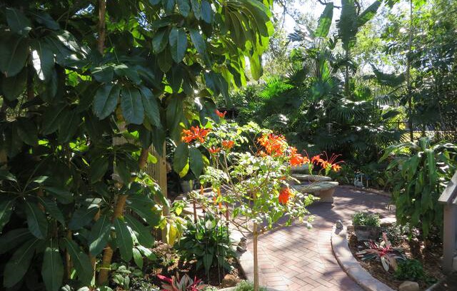 Old Seminole Heights Apartment | Songbird Villa