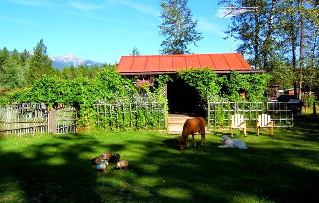 Valemount Cabin | Cozy Private Cabin on a Hobby Farm