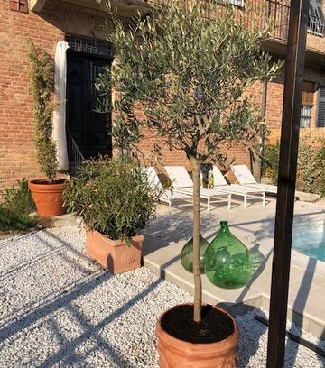 Castelnuovo Belbo Villa | Villa Svedese. Unikt boende i genuin miljö.