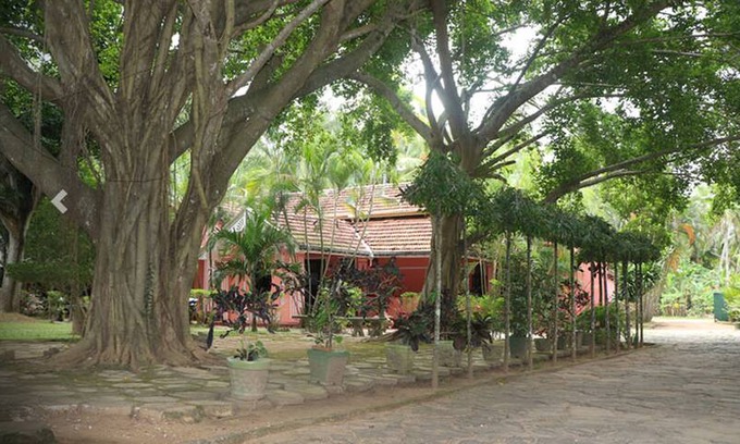 Dankotuwa House | Villa Sunshine Hotel