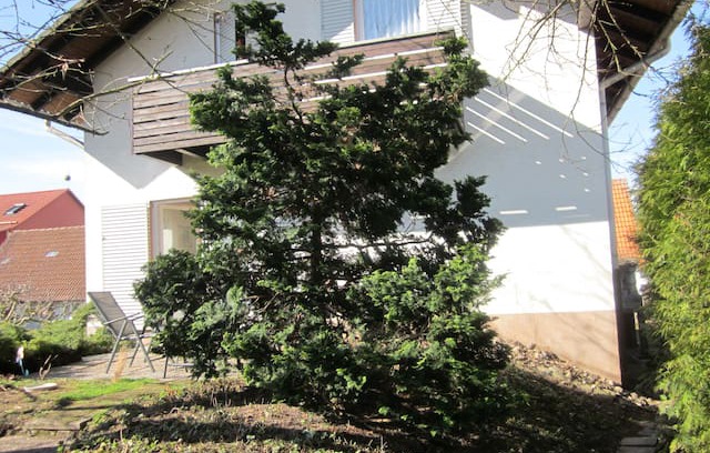 Sontra House | Ferienhaus Barbara