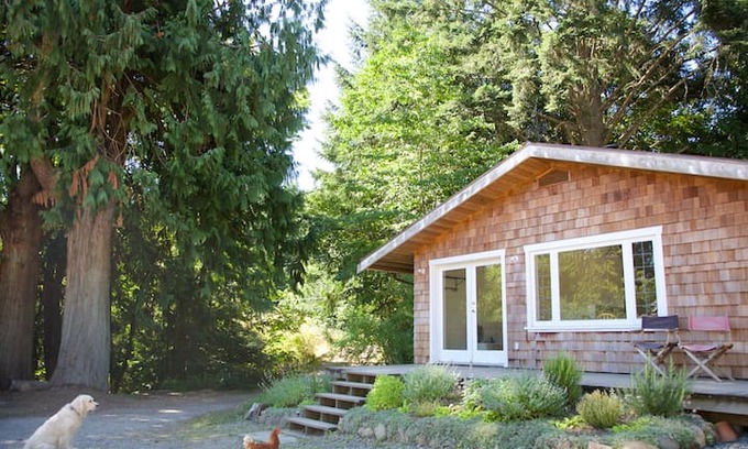 Salt Spring Island Cabin | Garner's Orchard Dome & Cottage_C