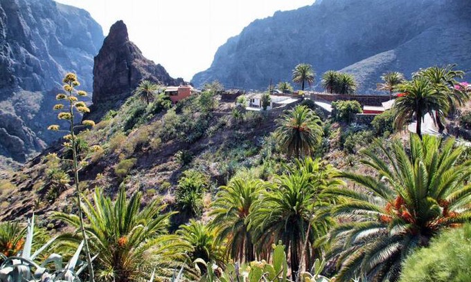 El Rincon House | chez l'habitant Rural B&B- La Tajinaste