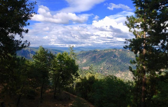 Pine Grove House | Gold Country Getaway*Perfect for Couples*View