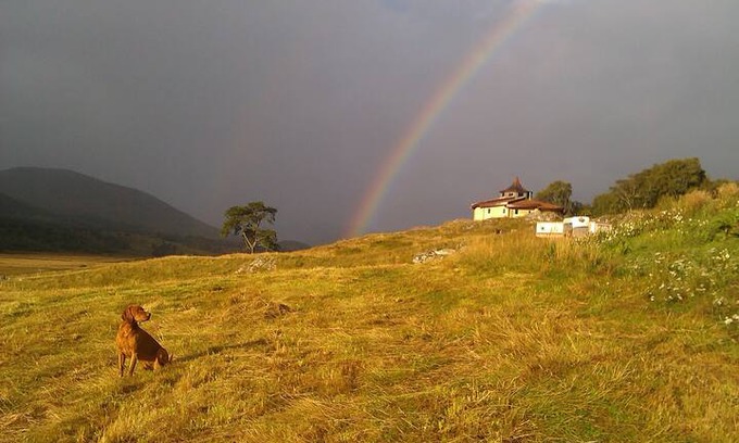 Newtonmore Other | Hairy Cow Studio
