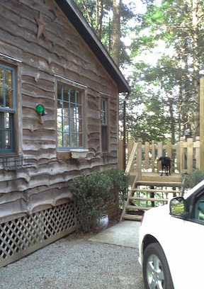 Saluda Cabin | Green River Cove Cabin close to TIEC