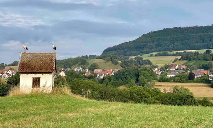 Wittnau Apartment | Landgut Stöckenhof, Urlaub stadtnah in der Natur
