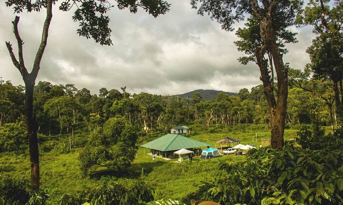 Srimangla Other | NEW YEAR 2020- VOTECAD NATURE CAMP !