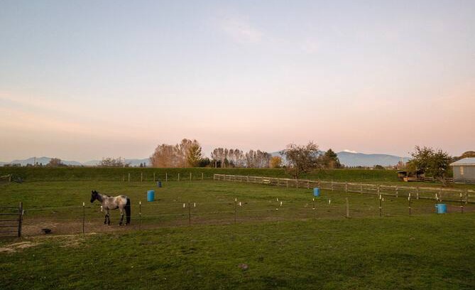 Mount Vernon House | Stunning river and Mountain View’s + horses!