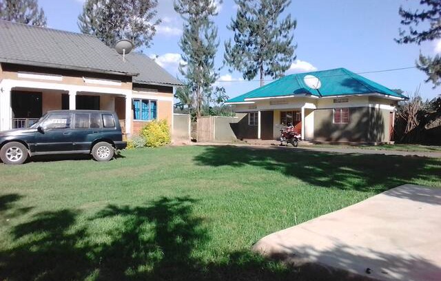 Kisoro Bed & Breakfast | Country home,with great tree sorroundings