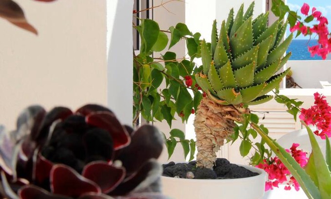 Arrieta Apartment | casita LA SIRENA, Lanzarote