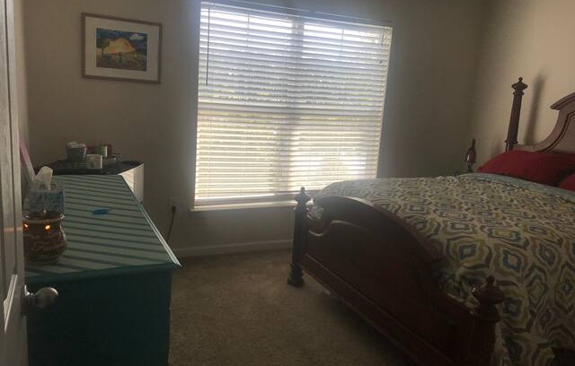 Shallotte Apartment | Shallotte Apartment