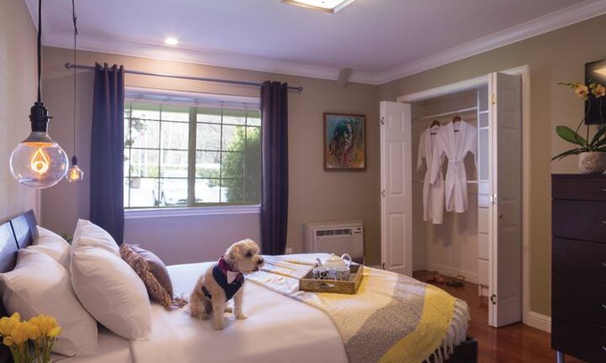 Upper Lake Hotel | Lodge Executive Suite - The Lodge At Blue Lakes