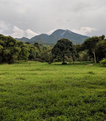 Cilobak Villa | Kebunsu Bogor Villa Kayu Jati 2++BDR Jungle View