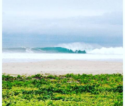 Montanita Bed & Breakfast | Hostel Montañita Surf Camp