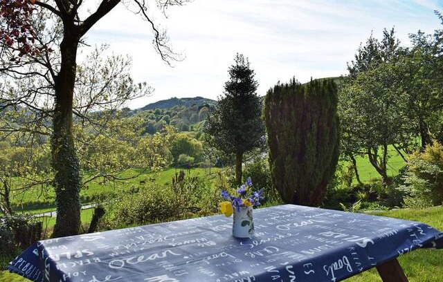 Cwmystwyth House | Penrhiw (UK6658)