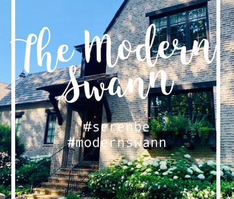 Palmetto House | The Modern Swann @Serenbe (Pet Friendly+Golf Cart)