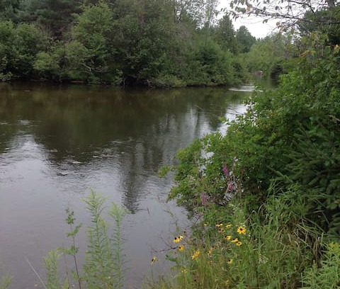 Fife Lake Cabin | The Cute Manistee River Cabin/great trout fishing!
