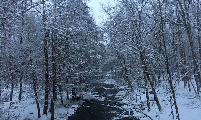 Tamiment Cabin | Quiet Country House in the Poconos FAMILIES ONLY