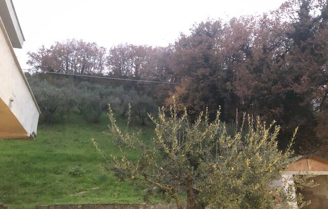 Vacri House | Country House a Vacri
