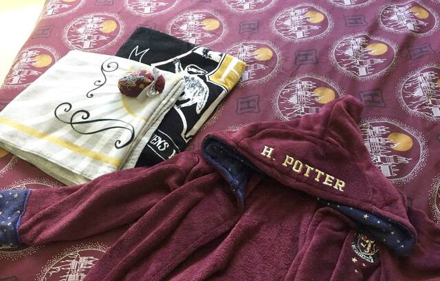 Squire Park House | Central Seattle: Sunny Harry Potter Private Room
