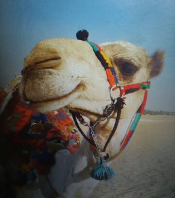 Abu Sir Bed & Breakfast | Egypt at Sahora Guesthouse